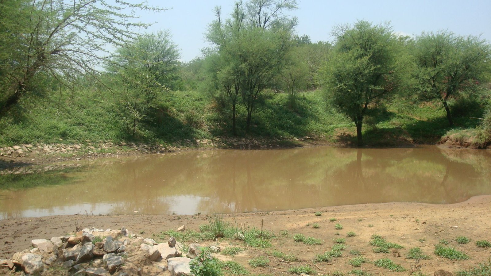 Safe Drinking Water
